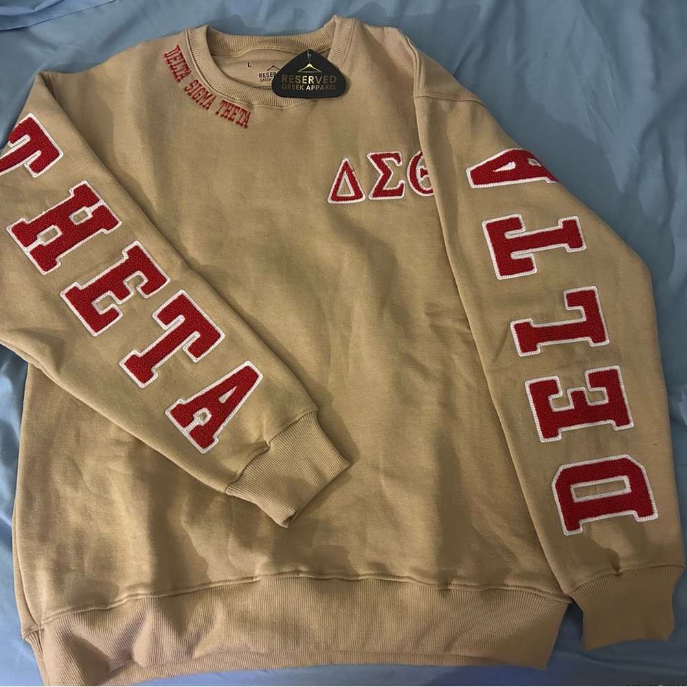 🌼💐DELTA SORORITY SWEATSHIRT🌼💐